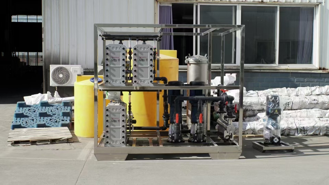 15 T/ora EDI sistema di acqua ultra pura per uso industriale con sistema RO a 2 fasi