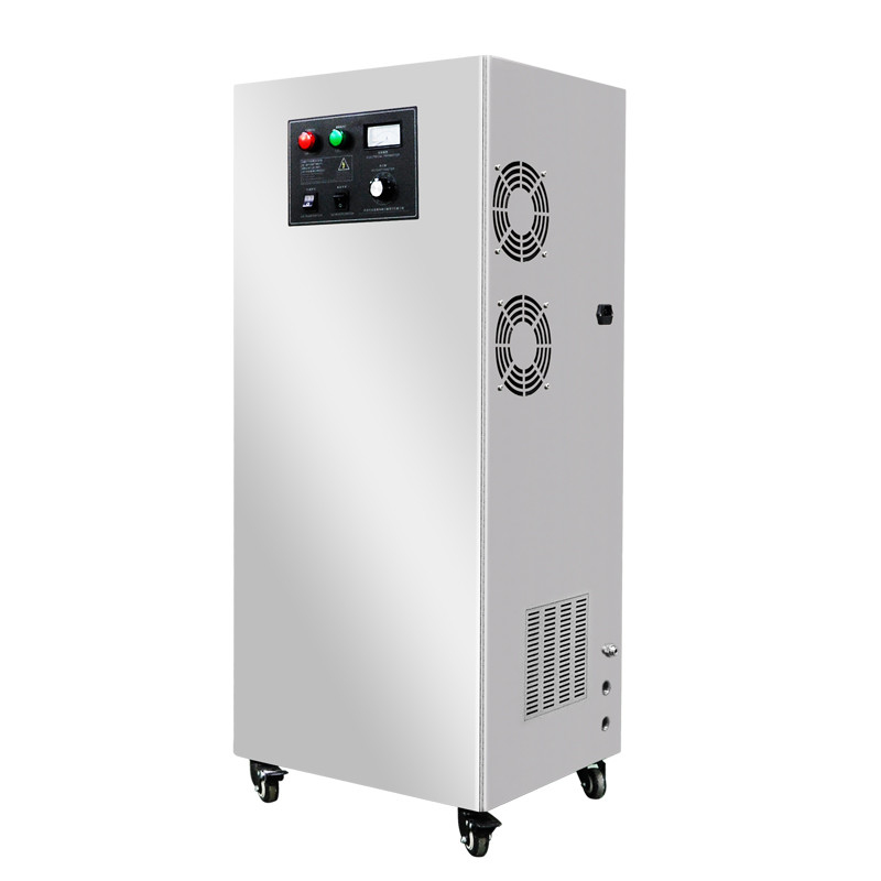 trattamento delle acque reflue del generatore dell'ozono dell'acqua di 100g 300g 500g 1000g per industria tessile