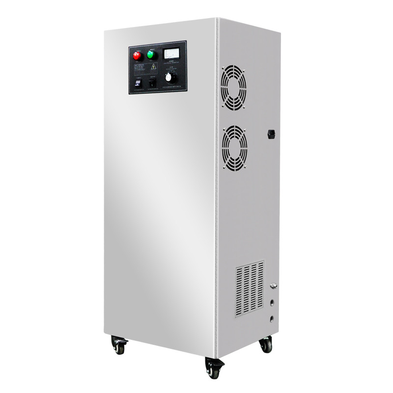 trattamento delle acque reflue del generatore dell'ozono dell'acqua di 100g 300g 500g 1000g per industria tessile