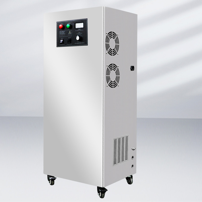 trattamento delle acque reflue del generatore dell'ozono dell'acqua di 100g 300g 500g 1000g per industria tessile